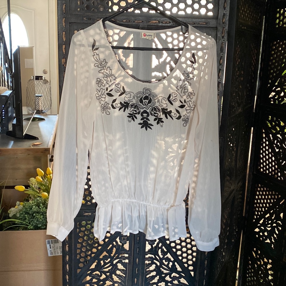 Sheer embroidered top